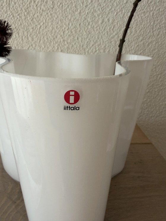 Iittala Alvar Aalto Vase – Glass (photo 2 of 5)