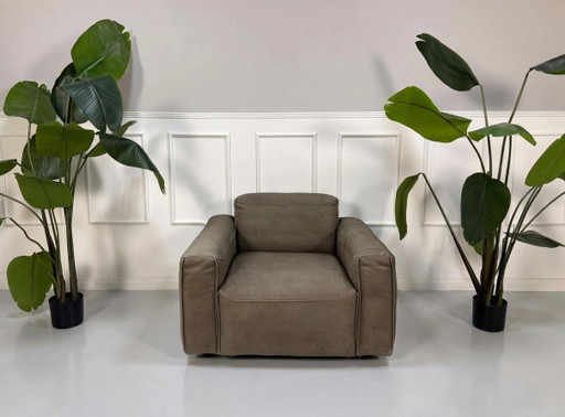 Rolf Benz Mio 552 Sessel Leder Couch Nubukleder Braun