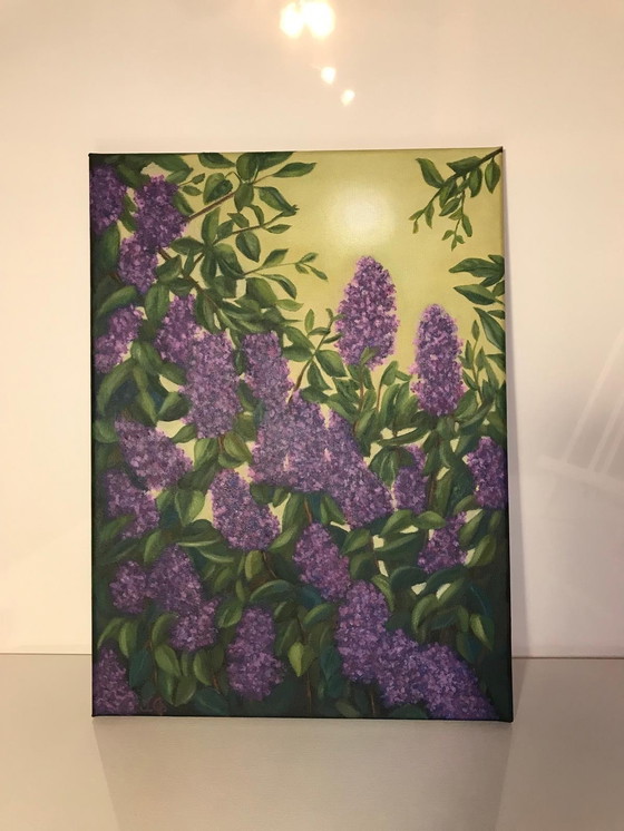 Image 1 of Lilla - dipinto a olio di Irina Gauss