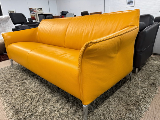 Leolux Mayon 3-Sitzer Sofa – 3-5 Sitzer Sofas, Leder (photo 10 of 10)