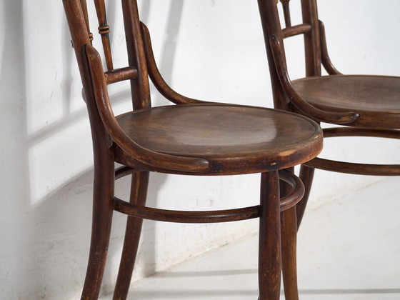 Antique Thonet bentwood chairs (c.1920). Set of 4 pieces #14 – Dining chairs (photo 23 of 40)