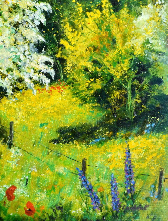 Image 1 of Blooming hawthorn