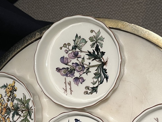 Image 1 of Juego (6) cuencos Villeroy & Boch Vilbofour Botanica