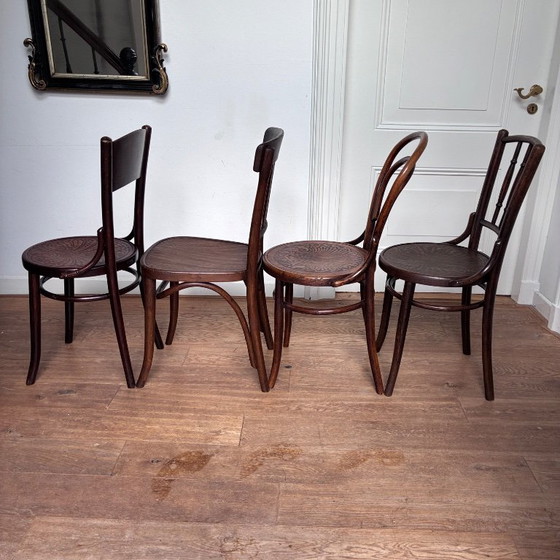 Set van 4 mix-match Thonet stijl stoelen – Eetkamerstoelen, Hout (photo 10 of 18)