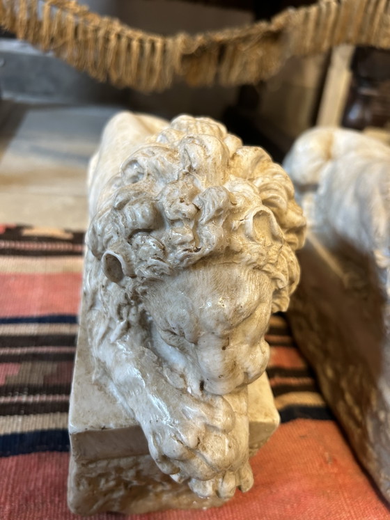 Image 1 of Canovas Löwen