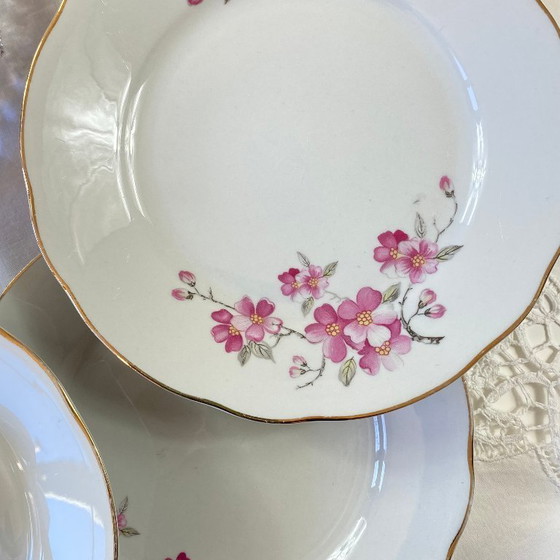 Image 1 of Royal Tognana Italy Antique Porcelain Dessert Plate Set of 9 Plates