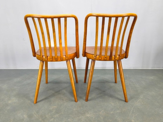 Image 1 of Antonin Suman per TON Dining Chairs, anni '60, set di quattro