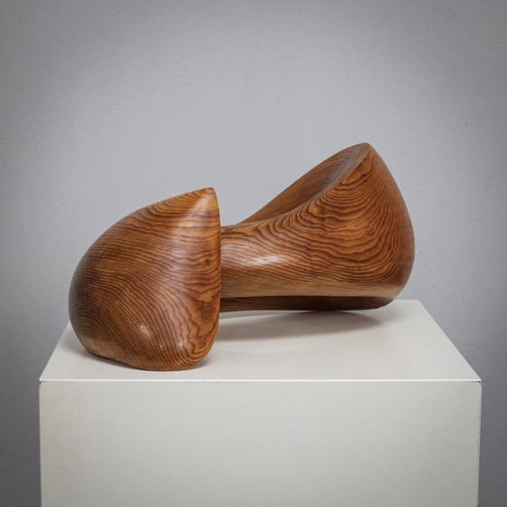Image 1 of Flying Solo, Organic Sculptural Form by Ineke van Zuuren, 1970s