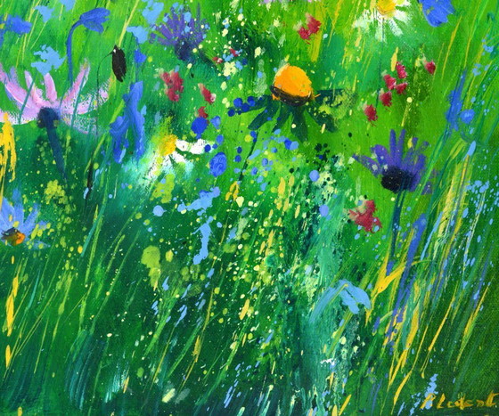 Image 1 of Wild flowers 