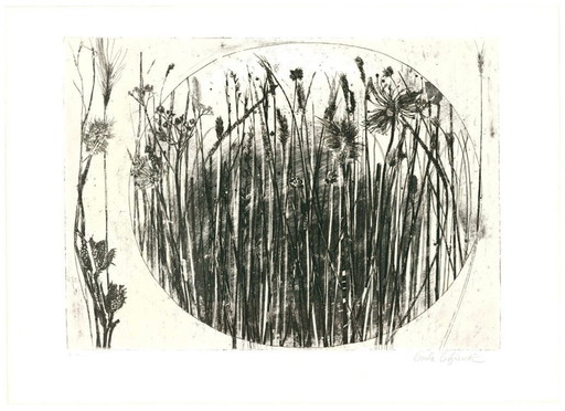 Paola Pitzianti - Grasses And Flowers 