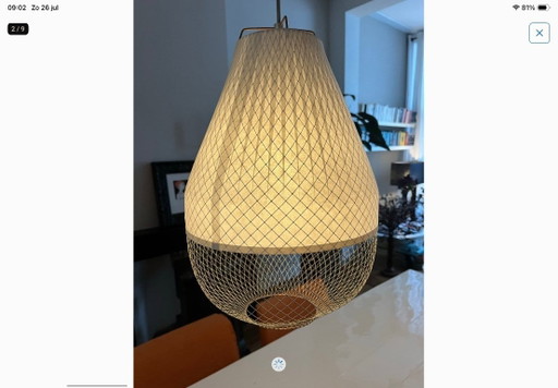 2x Rick Tegelaar lampen