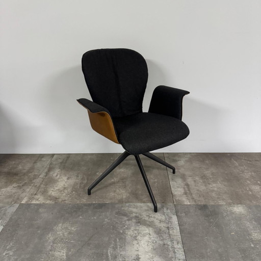 Blake donna Set of 4 – Bert Plantagie, eetkamerstoelen, Leather, Plastic