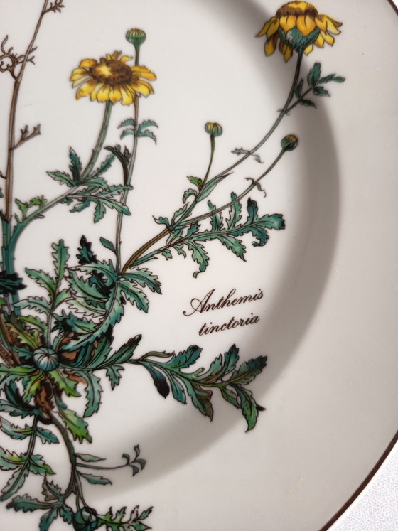 Villeroy und Boch Botanica Teller – Geschirr, Porcelain (photo 6 of 6)