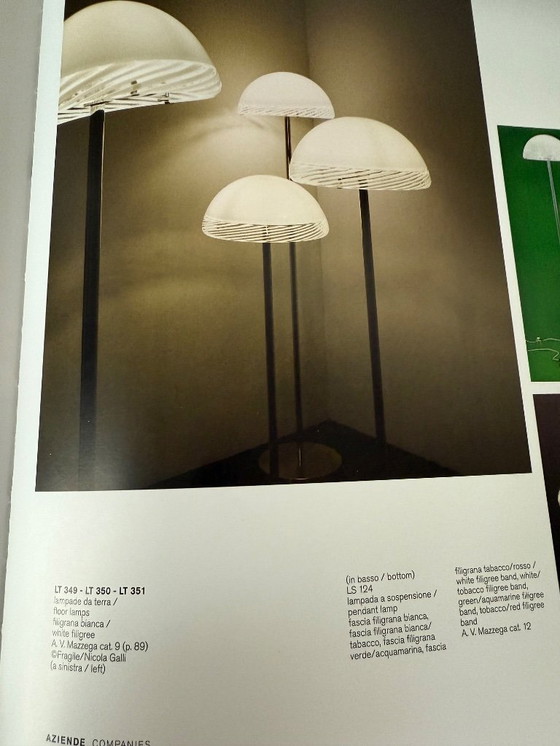 Image 1 of Mazzega Carlo Nason LT 350