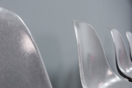 Image 1 of Sedie Eames DSW Elephant in fibra di vetro grigia, 6x