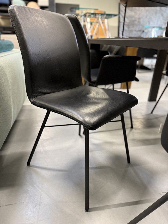 Image 1 of Bert Plantagie Dining Room Chairs 4xBlake - 1xFour black leather