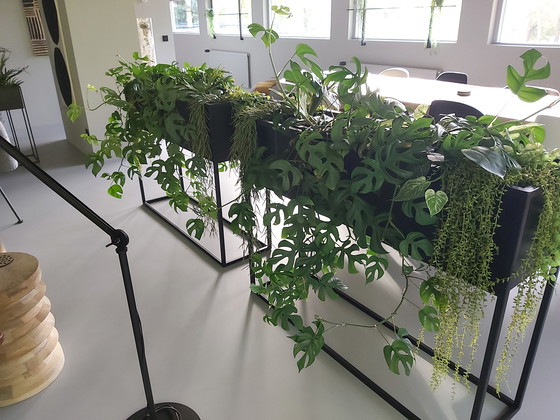 Image 1 of 2 separadores de ambientes de metal visto negro con bolsas impermeables para plantas.