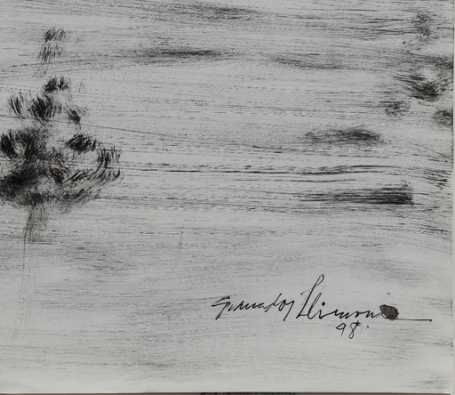 GRANADOS LLIMONA, Ink on glossy paper ('98), Size 65 x 45 cm.