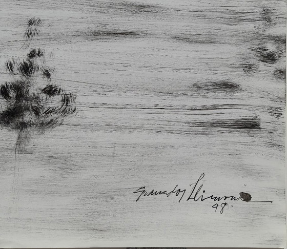 Image 1 of GRANADOS LLIMONA, Ink on glossy paper ('98), Size 65 x 45 cm.