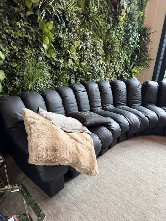 Image 1 of Sofá Sede DS-600