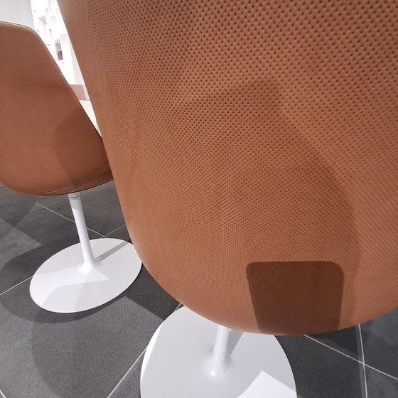 Image 1 of MDF Italia Flow Chair dining chair (set of 4)