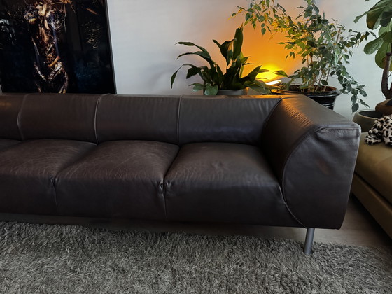 Image 1 of Montis Nindes Bank in pelle marrone