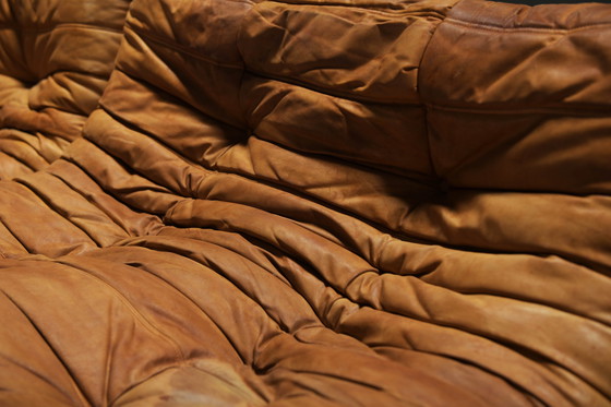Image 1 of Perfect Rich Patinated Togo in Original Natural Leather by Michel Ducaroy - Ligne Roset