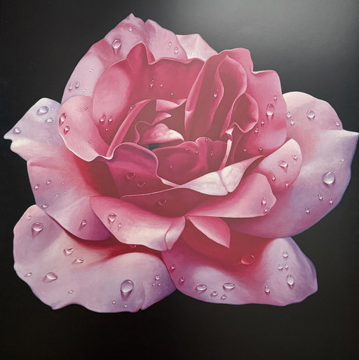 Franco Campana: "Pink Rose". Beautiful colors!