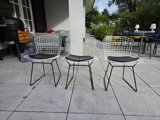 3 Vintage Harry Bertoia Stühle (Knoll)