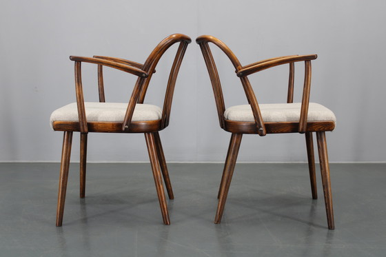 Image 1 of 1960 Antonin Suman Ensemble de six chaises de salle à manger en hêtre, restaurées