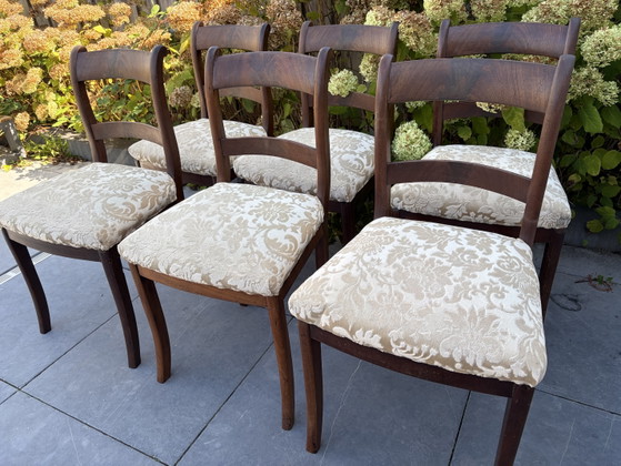6 Vintage Antieke Mahonie Teak Stoelen – Eetkamerstoelen, Textile, Wood (photo 3 of 9)