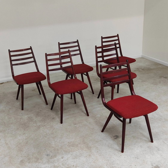 Set of 6 Jitona Sobeslav chairs, Czechoslovakia 1960 – Dining chairs, Mid Century Modern (photo 13 of 21)