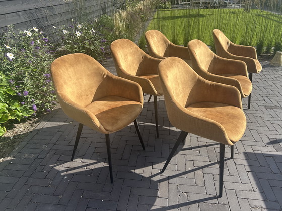 Image 1 of Eetkamerstoelen Montel type Lopez 6 stuks