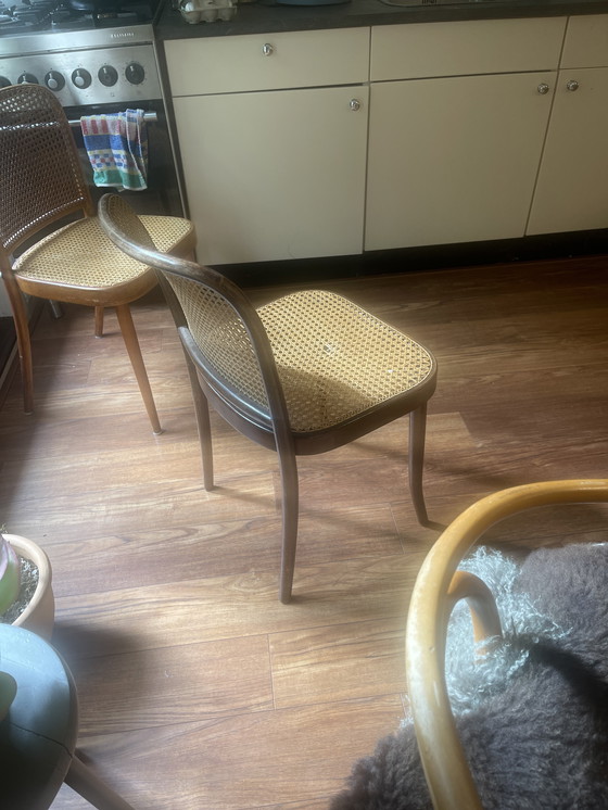 Image 1 of Ligna Praag 811 Thonet stoel