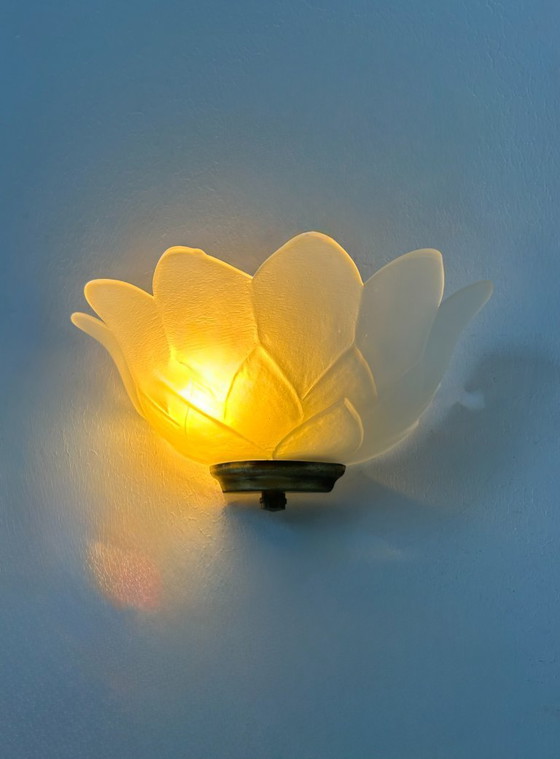 Image 1 of Coppia di applique vintage in ottone e vetro sabbiato, Francia, 1970