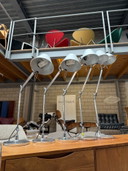 Lampe de table Artemide Tolomeo