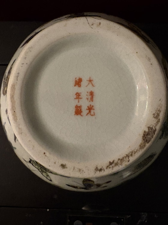 Chinese 100 Butterflies Vase Hand-Painted – Asian vases from holland, Porcelain (photo 7 of 8)