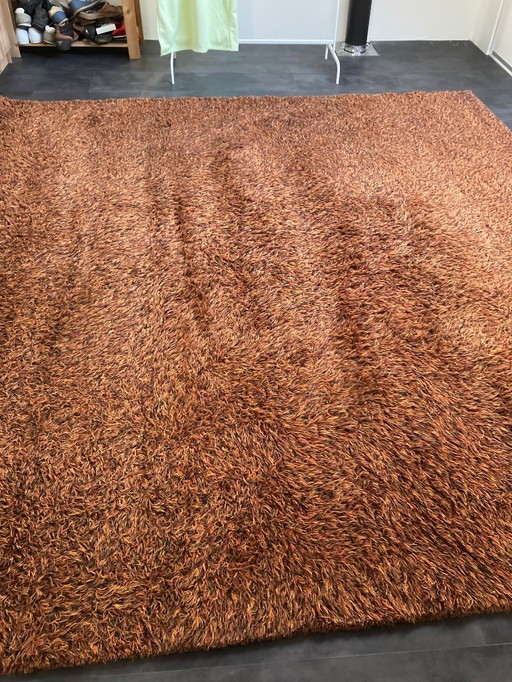Millenerpoort rug