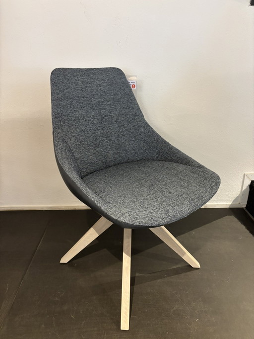 sedia da pranzo in acero bert plantagie