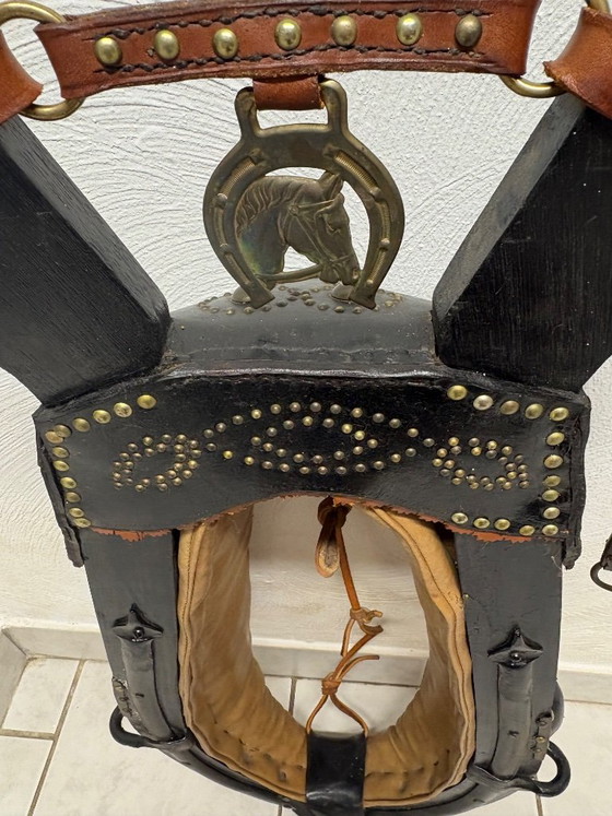 Collare per Cavallo Antico in Pelle – Decorazioni murali, Leather, Wood (photo 3 of 5)