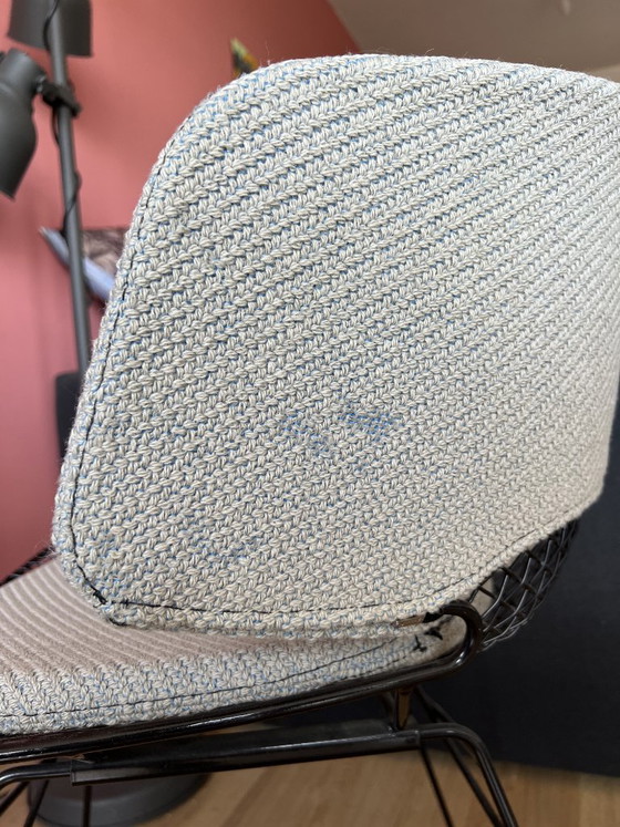 Bertoia side chair voor Knoll – Kuipstoelen, Metal, Textile (photo 6 of 6)