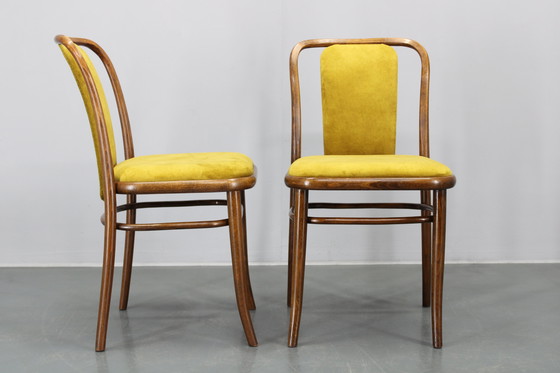 Image 1 of Juego de cuatro sillas de comedor de madera curvada de haya restauradas de la década de 1970, de TON, Checoslovaquia