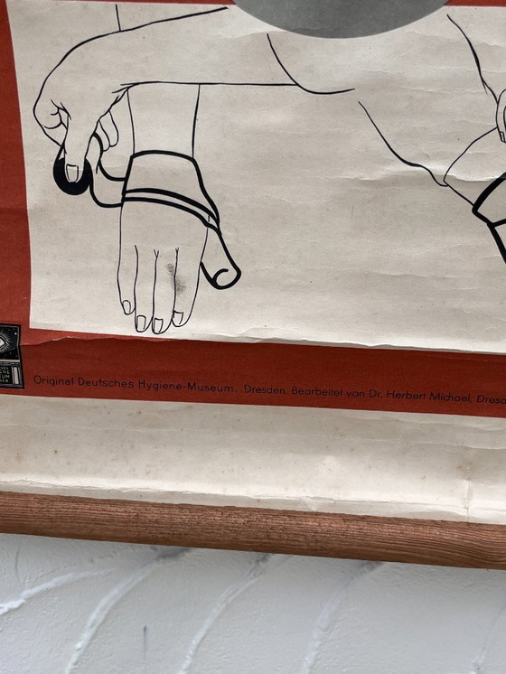 Image 1 of Aufklärungsplakat zum Thema Verbände