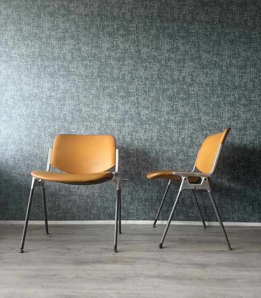 4 sedie DSC106 di Giancarlo Piretti per Castelli, anni '60