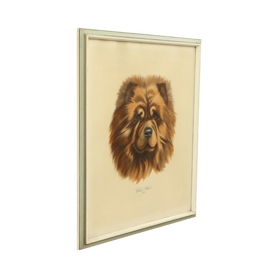 Image 1 of Vintage Kleuren Litho Hond Chow Chow
