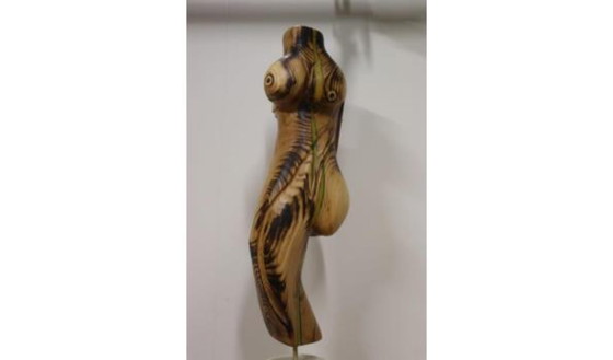 Image 1 of Erwin de Visser Scultura in legno di un torso femminile