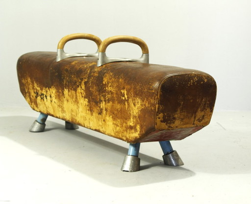 Panca da palestra vintage in pelle con cavallo a maniglie, anni '60