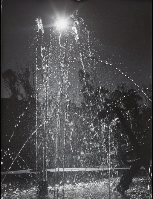 Ansel Adams Photographie