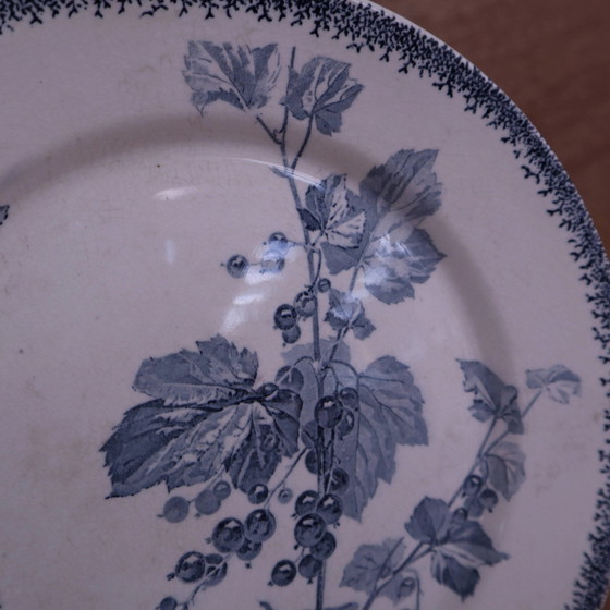 Piatto antico U & C Sarreguemines modello Currants – Stoviglie, Porcelain, Vintage (photo 3 of 7)