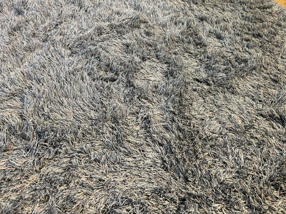 Image 1 of Bella Basso 60